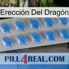 Erección Del Dragón 22